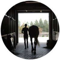 Equine Studies Institute